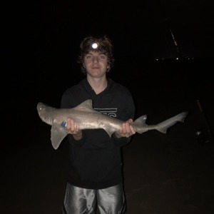 Image #1952 from GreatAnglers.com Image #1952 from GreatAnglers.com
