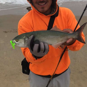 Image #1994 from GreatAnglers.com Image #1994 from GreatAnglers.com