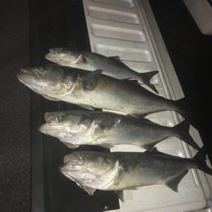 Image #2019 from GreatAnglers.com Image #2019 from GreatAnglers.com