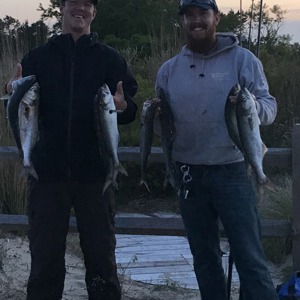 Image #2100 from GreatAnglers.com Image #2100 from GreatAnglers.com