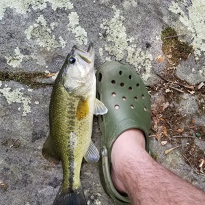 Image #2187 from GreatAnglers.com Image #2187 from GreatAnglers.com