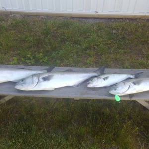Image #2210 from GreatAnglers.com Image #2210 from GreatAnglers.com