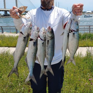 Image #2247 from GreatAnglers.com Image #2247 from GreatAnglers.com