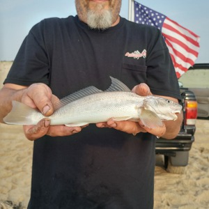 Image #2314 from GreatAnglers.com Image #2314 from GreatAnglers.com