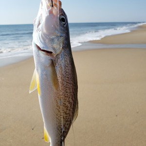 Image #2424 from GreatAnglers.com Image #2424 from GreatAnglers.com