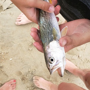 Image #2496 from GreatAnglers.com Image #2496 from GreatAnglers.com