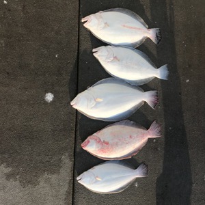 Image #2505 from GreatAnglers.com Image #2505 from GreatAnglers.com