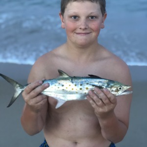 Image #2541 from GreatAnglers.com Image #2541 from GreatAnglers.com