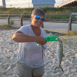Image #2542 from GreatAnglers.com Image #2542 from GreatAnglers.com