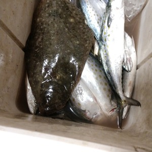 Image #2545 from GreatAnglers.com Image #2545 from GreatAnglers.com