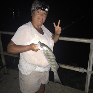 Image #2575 from GreatAnglers.com Image #2575 from GreatAnglers.com