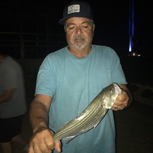 Image #2576 from GreatAnglers.com Image #2576 from GreatAnglers.com
