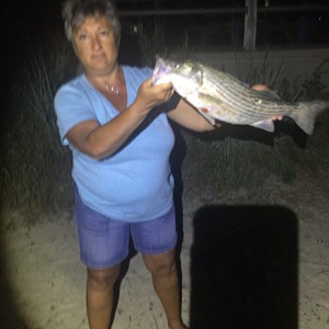 Image #2584 from GreatAnglers.com Image #2584 from GreatAnglers.com