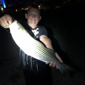 Image #2611 from GreatAnglers.com Image #2611 from GreatAnglers.com
