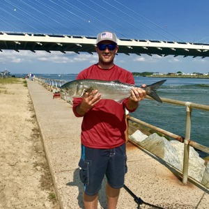 Image #2667 from GreatAnglers.com Image #2667 from GreatAnglers.com