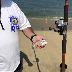 Image #2705 from GreatAnglers.com Image #2705 from GreatAnglers.com