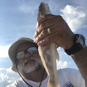 Image #2706 from GreatAnglers.com Image #2706 from GreatAnglers.com