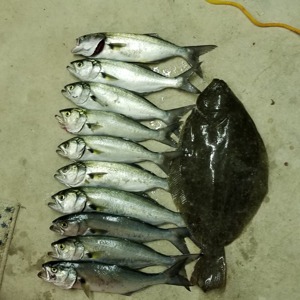 Image #2789 from GreatAnglers.com Image #2789 from GreatAnglers.com