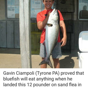 Image #2918 from GreatAnglers.com Image #2918 from GreatAnglers.com