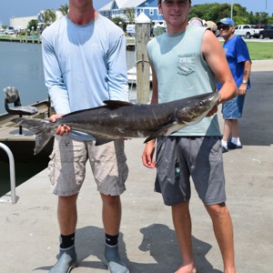 Image #2944 from GreatAnglers.com Image #2944 from GreatAnglers.com