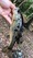 2980 Spotted Bass 08/10/19 9:36pm 2980 Spotted Bass 08/10/19 9:36pm