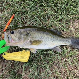 Image #3011 from GreatAnglers.com Image #3011 from GreatAnglers.com