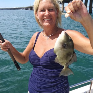 Image #3093 from GreatAnglers.com Image #3093 from GreatAnglers.com