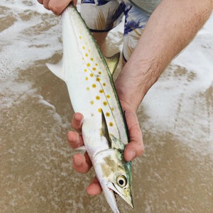 Image #3094 from GreatAnglers.com Image #3094 from GreatAnglers.com