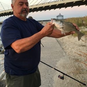 Image #3163 from GreatAnglers.com Image #3163 from GreatAnglers.com