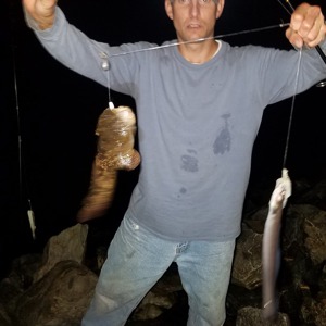 Image #3208 from GreatAnglers.com Image #3208 from GreatAnglers.com