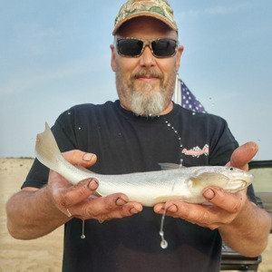 Image #3253 from GreatAnglers.com Image #3253 from GreatAnglers.com