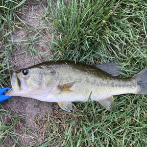 Image #3254 from GreatAnglers.com Image #3254 from GreatAnglers.com