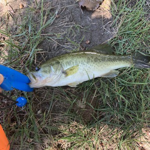 Image #3256 from GreatAnglers.com Image #3256 from GreatAnglers.com