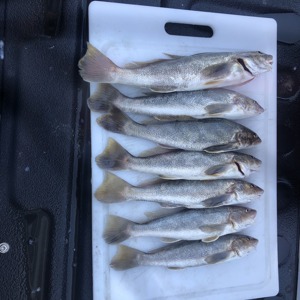Image #3272 from GreatAnglers.com Image #3272 from GreatAnglers.com