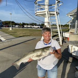 Image #3362 from GreatAnglers.com Image #3362 from GreatAnglers.com