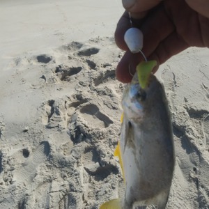 Image #3403 from GreatAnglers.com Image #3403 from GreatAnglers.com