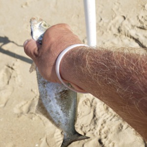 Image #3430 from GreatAnglers.com Image #3430 from GreatAnglers.com