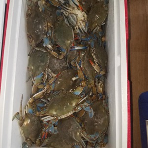 Image #3522 from GreatAnglers.com Image #3522 from GreatAnglers.com