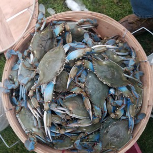 Image #3525 from GreatAnglers.com Image #3525 from GreatAnglers.com