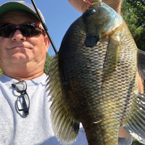 Image #3529 from GreatAnglers.com Image #3529 from GreatAnglers.com