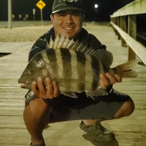 Image #3536 from GreatAnglers.com Image #3536 from GreatAnglers.com