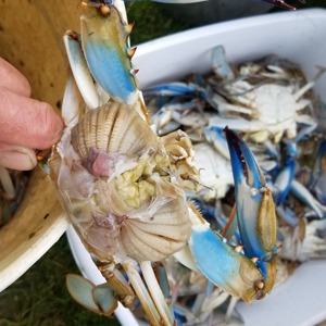 Image #3548 from GreatAnglers.com Image #3548 from GreatAnglers.com