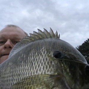Image #3574 from GreatAnglers.com Image #3574 from GreatAnglers.com