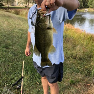 Image #3581 from GreatAnglers.com Image #3581 from GreatAnglers.com