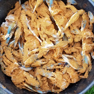 Image #3585 from GreatAnglers.com Image #3585 from GreatAnglers.com