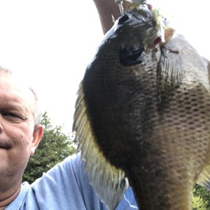Image #3588 from GreatAnglers.com Image #3588 from GreatAnglers.com