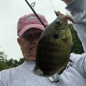 Image #3609 from GreatAnglers.com Image #3609 from GreatAnglers.com
