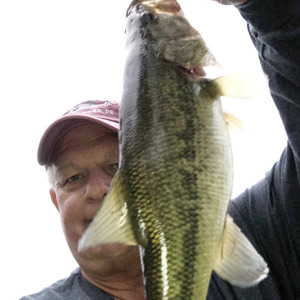 Image #3633 from GreatAnglers.com Image #3633 from GreatAnglers.com