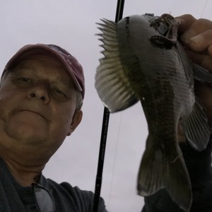 Image #3634 from GreatAnglers.com Image #3634 from GreatAnglers.com