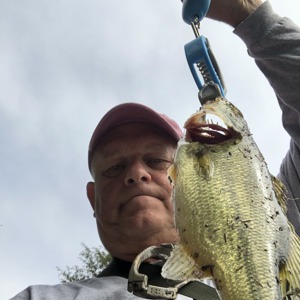 Image #3693 from GreatAnglers.com Image #3693 from GreatAnglers.com